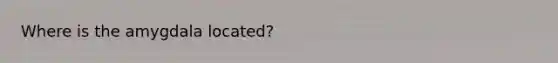 Where is the amygdala located?