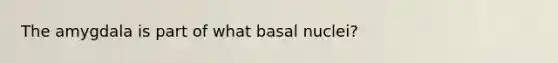 The amygdala is part of what basal nuclei?