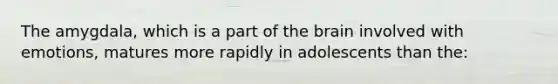 The amygdala, which is a part of the brain involved with emotions, matures more rapidly in adolescents than the: