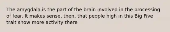 The amygdala is the part of the brain involved in the processing of fear. It makes sense, then, that people high in this Big Five trait show more activity there