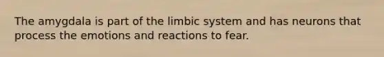 The amygdala is part of the limbic system and has neurons that process the emotions and reactions to fear.