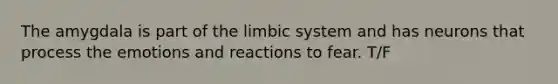 The amygdala is part of the limbic system and has neurons that process the emotions and reactions to fear. T/F