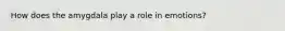 How does the amygdala play a role in emotions?