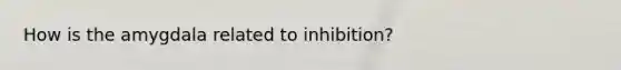 How is the amygdala related to inhibition?