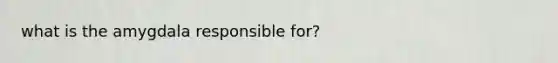 what is the amygdala responsible for?