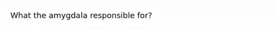What the amygdala responsible for?