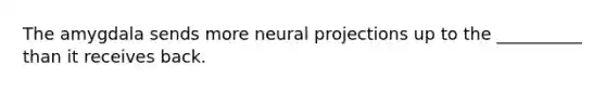 The amygdala sends more neural projections up to the __________ than it receives back.