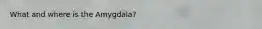 What and where is the Amygdala?