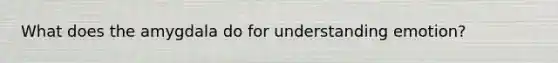 What does the amygdala do for understanding emotion?