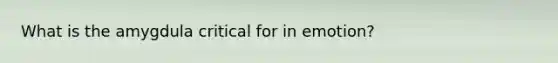 What is the amygdula critical for in emotion?
