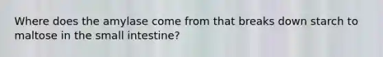 Where does the amylase come from that breaks down starch to maltose in the small intestine?