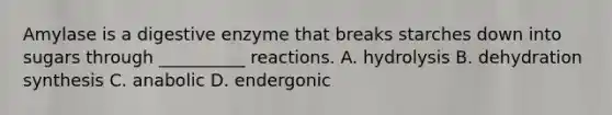 Amylase is a digestive enzyme that breaks starches down into sugars through __________ reactions. A. hydrolysis B. dehydration synthesis C. anabolic D. endergonic