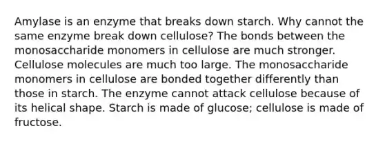 Amylase is an enzyme that breaks down starch. Why cannot the same enzyme break down cellulose? The bonds between the monosaccharide monomers in cellulose are much stronger. Cellulose molecules are much too large. The monosaccharide monomers in cellulose are bonded together differently than those in starch. The enzyme cannot attack cellulose because of its helical shape. Starch is made of glucose; cellulose is made of fructose.