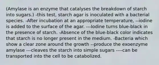 (Amylase is an enzyme that catalyses the breakdown of starch into sugars.) -this test, starch agar is inoculated with a bacterial species. -After incubation at an appropriate temperature, --iodine is added to the surface of the agar. ---Iodine turns blue-black in the presence of starch. -Absence of the blue-black color indicates that starch is no longer present in the medium. -Bacteria which show a clear zone around the growth --produce the exoenzyme amylase ---cleaves the starch into simple sugars ----can be transported into the cell to be catabolized.