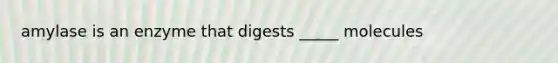 amylase is an enzyme that digests _____ molecules
