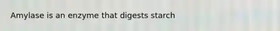 Amylase is an enzyme that digests starch