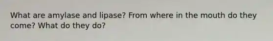 What are amylase and lipase? From where in the mouth do they come? What do they do?