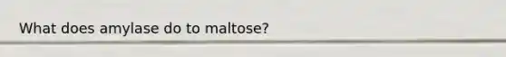 What does amylase do to maltose?