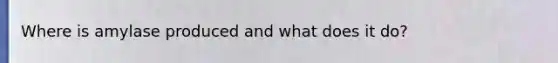 Where is amylase produced and what does it do?