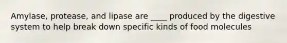 Amylase, protease, and lipase are ____ produced by the digestive system to help break down specific kinds of food molecules