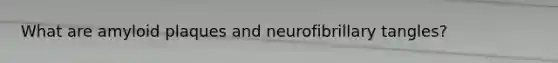 What are amyloid plaques and neurofibrillary tangles?