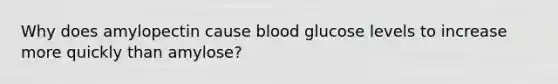 Why does amylopectin cause blood glucose levels to increase more quickly than amylose?