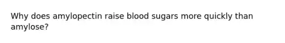 Why does amylopectin raise blood sugars more quickly than amylose?