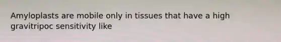 Amyloplasts are mobile only in tissues that have a high gravitripoc sensitivity like