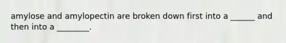amylose and amylopectin are broken down first into a ______ and then into a ________.