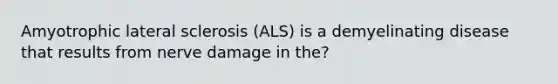 Amyotrophic lateral sclerosis (ALS) is a demyelinating disease that results from nerve damage in the?