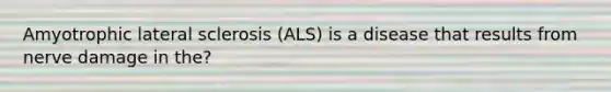 Amyotrophic lateral sclerosis (ALS) is a disease that results from nerve damage in the?