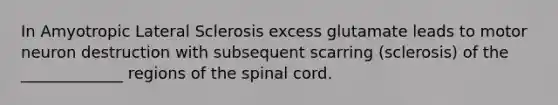 In Amyotropic Lateral Sclerosis excess glutamate leads to motor neuron destruction with subsequent scarring (sclerosis) of the _____________ regions of the spinal cord.