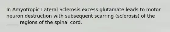 In Amyotropic Lateral Sclerosis excess glutamate leads to motor neuron destruction with subsequent scarring (sclerosis) of the _____ regions of the spinal cord.