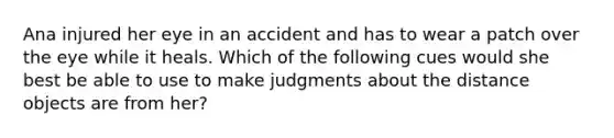 Ana injured her eye in an accident and has to wear a patch over the eye while it heals. Which of the following cues would she best be able to use to make judgments about the distance objects are from her?