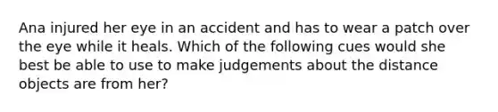 Ana injured her eye in an accident and has to wear a patch over the eye while it heals. Which of the following cues would she best be able to use to make judgements about the distance objects are from her?