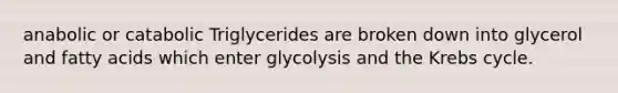 anabolic or catabolic Triglycerides are broken down into glycerol and fatty acids which enter glycolysis and the Krebs cycle.