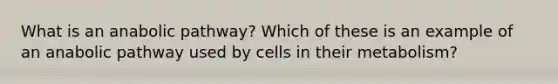 What is an anabolic pathway? Which of these is an example of an anabolic pathway used by cells in their metabolism?