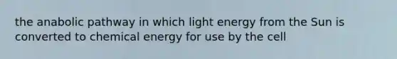 the anabolic pathway in which light energy from the Sun is converted to chemical energy for use by the cell