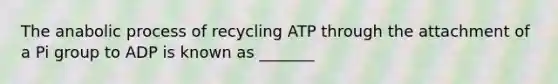 The anabolic process of recycling ATP through the attachment of a Pi group to ADP is known as _______