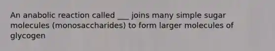 An anabolic reaction called ___ joins many simple sugar molecules (monosaccharides) to form larger molecules of glycogen