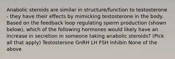 Anabolic steroids are similar in structure/function to testosterone - they have their effects by mimicking testosterone in the body. Based on the feedback loop regulating sperm production (shown below), which of the following hormones would likely have an increase in secretion in someone taking anabolic steroids? (Pick all that apply) Testosterone GnRH LH FSH Inhibin None of the above