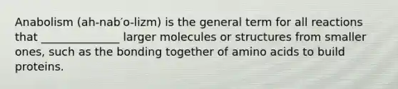 Anabolism (ah-nab′o-lizm) is the general term for all reactions that ______________ larger molecules or structures from smaller ones, such as the bonding together of <a href='https://www.questionai.com/knowledge/k9gb720LCl-amino-acids' class='anchor-knowledge'>amino acids</a> to build proteins.