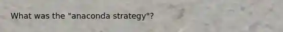 What was the "anaconda strategy"?