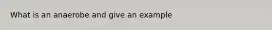 What is an anaerobe and give an example