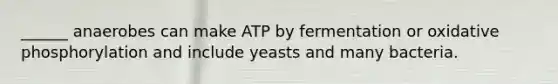 ______ anaerobes can make ATP by fermentation or oxidative phosphorylation and include yeasts and many bacteria.