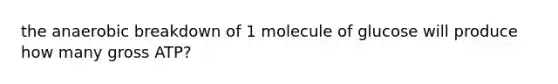 the anaerobic breakdown of 1 molecule of glucose will produce how many gross ATP?