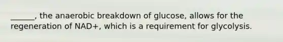 ______, the anaerobic breakdown of glucose, allows for the regeneration of NAD+, which is a requirement for glycolysis.