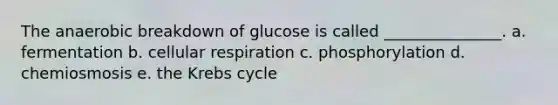 The anaerobic breakdown of glucose is called _______________. a. fermentation b. cellular respiration c. phosphorylation d. chemiosmosis e. the Krebs cycle