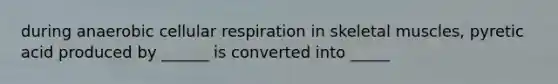 during anaerobic cellular respiration in skeletal muscles, pyretic acid produced by ______ is converted into _____