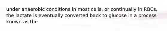 under anaerobic conditions in most cells, or continually in RBCs, the lactate is eventually converted back to glucose in a process known as the